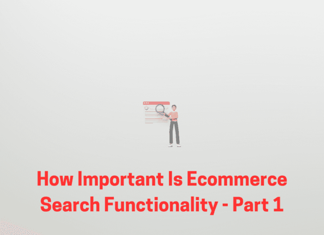 How Important Is Ecommerce Search Functionality – Part 1
